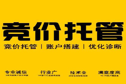 百度推广优化实战技巧与案例分享